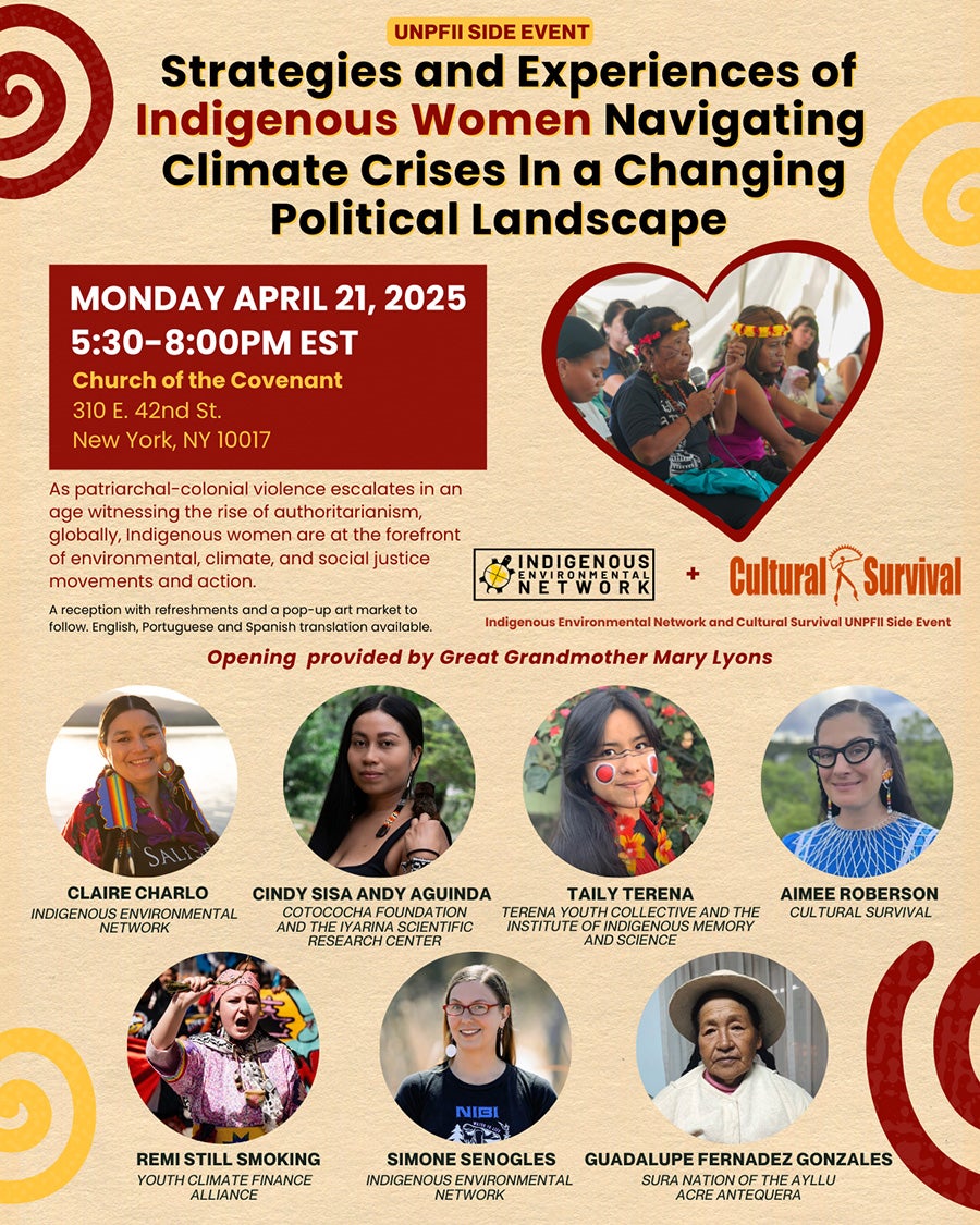 Indigenous Woment panel