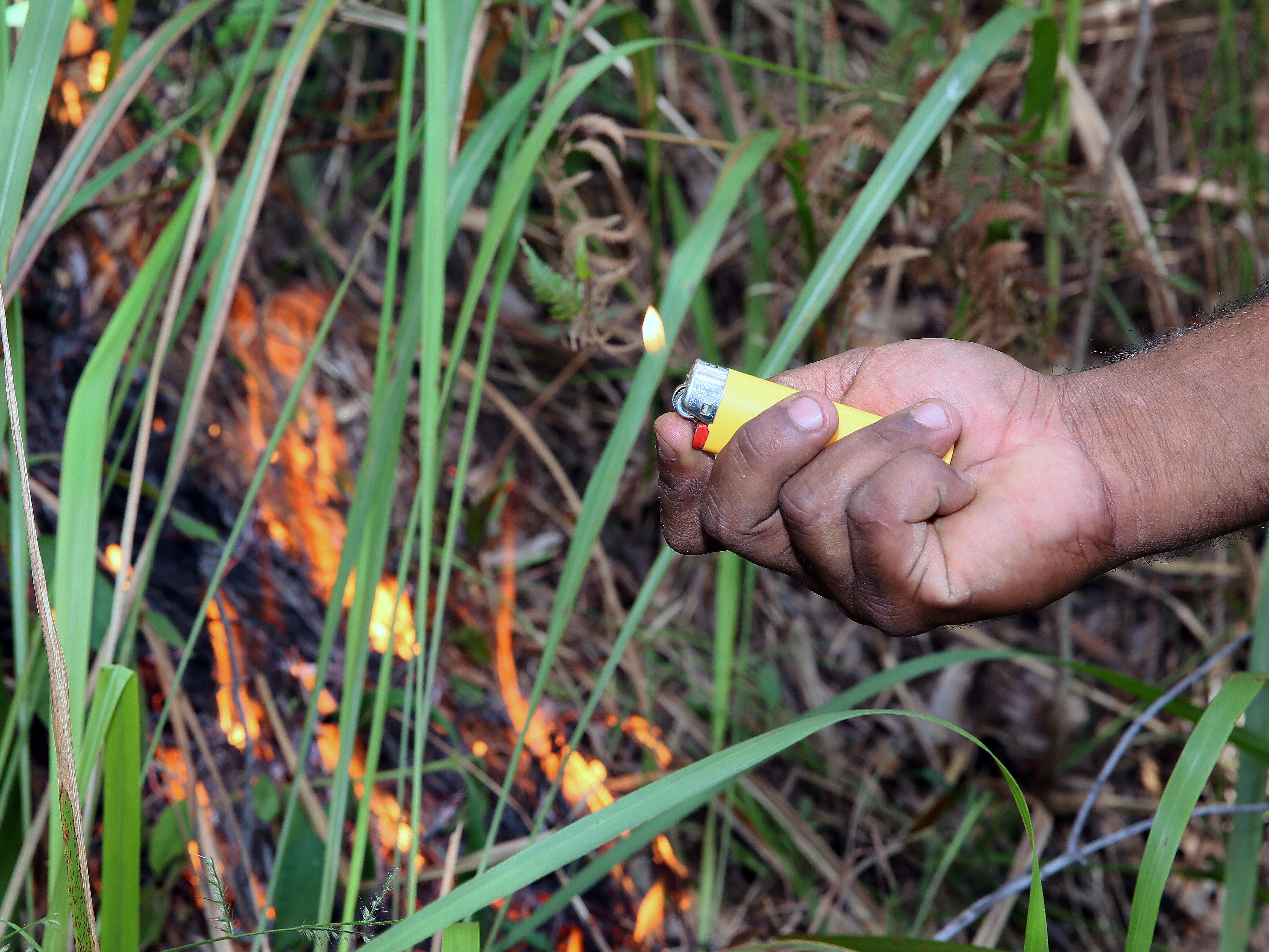 Aboriginal cultural burning practices of lighting small, low-intensity cool fires before the vegetation gets too dense and dry later in the season, ensures health of the land and its peoples.  Photo © Gleb Raygorodetsky 