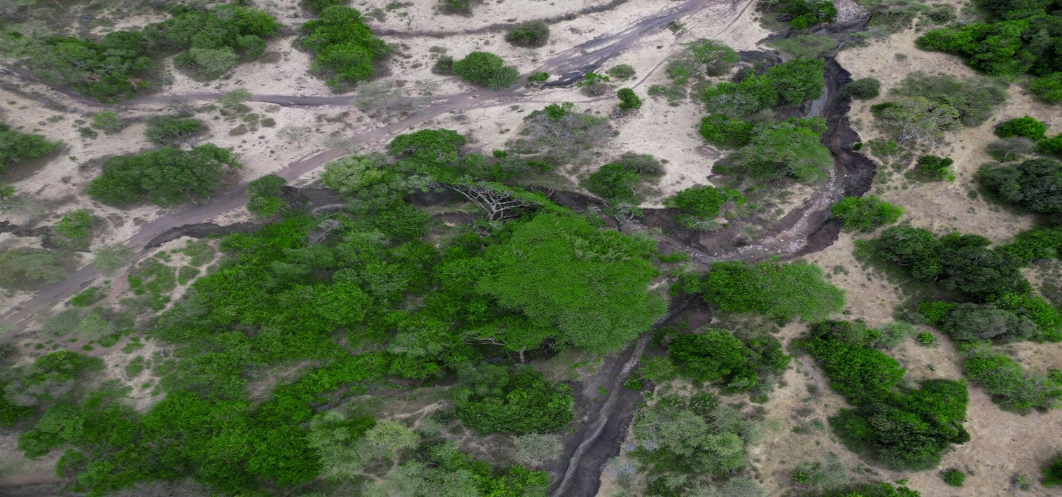 Soil erosion affecting Maasai Grassland in Northern Tanzania