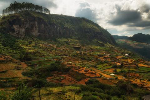 Sri Lanka - Maarten Elings