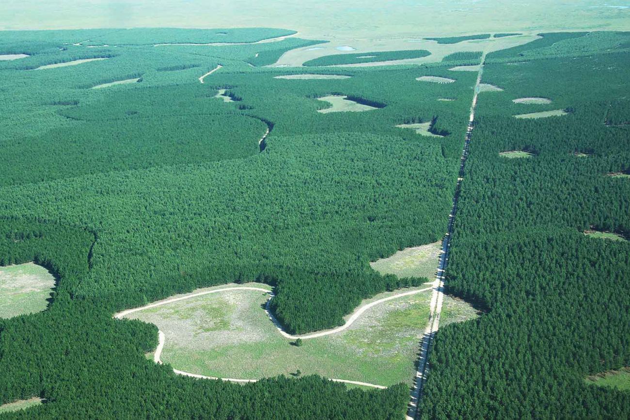 The Iberá wetlands system in Argentina.